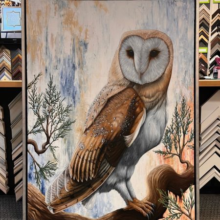 480303375_1381180272858263_4673298646438450924_n