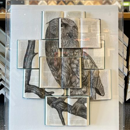 559891518_18530080495050952_1204142766955608886_n